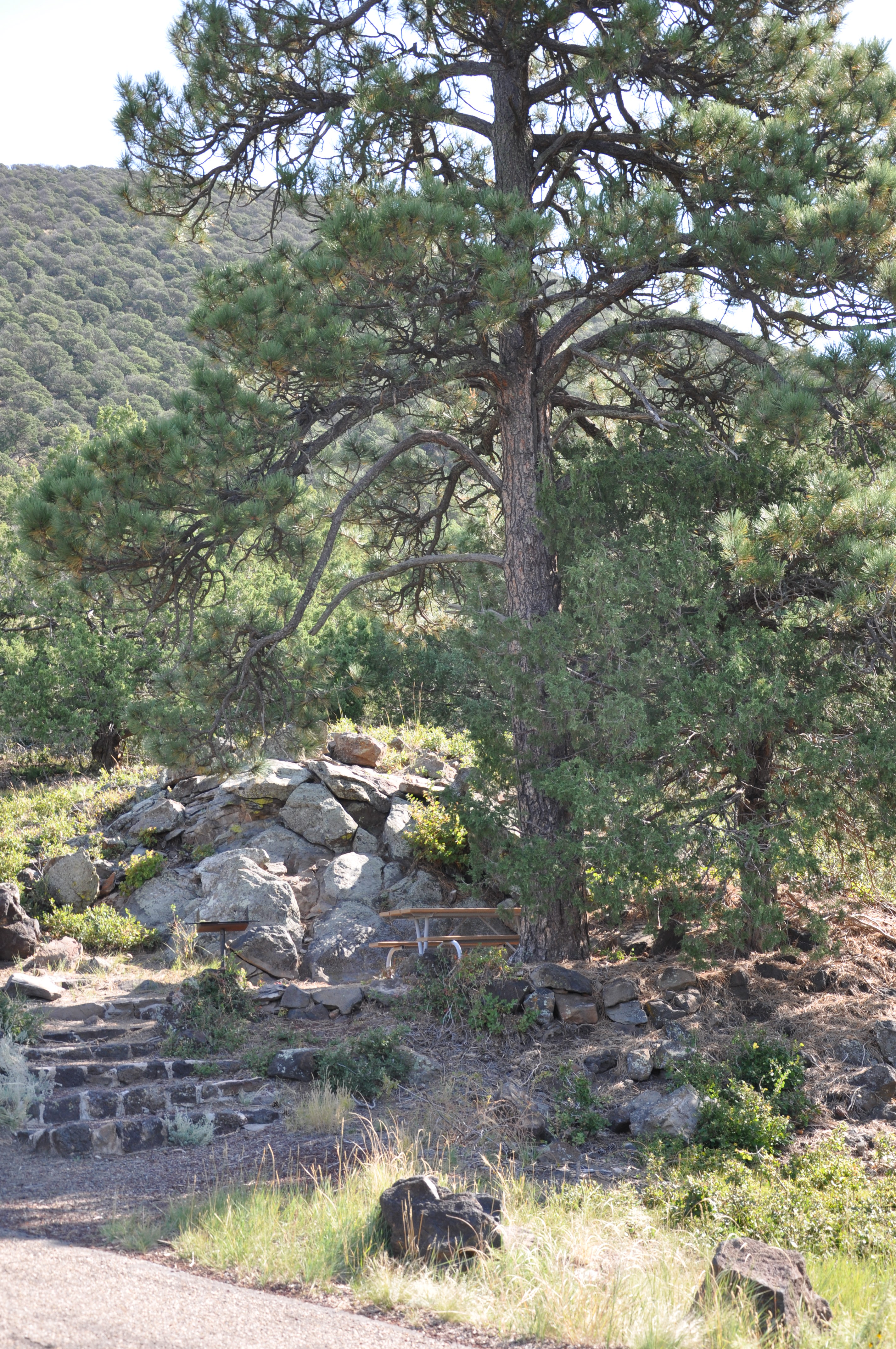 Picnic Area