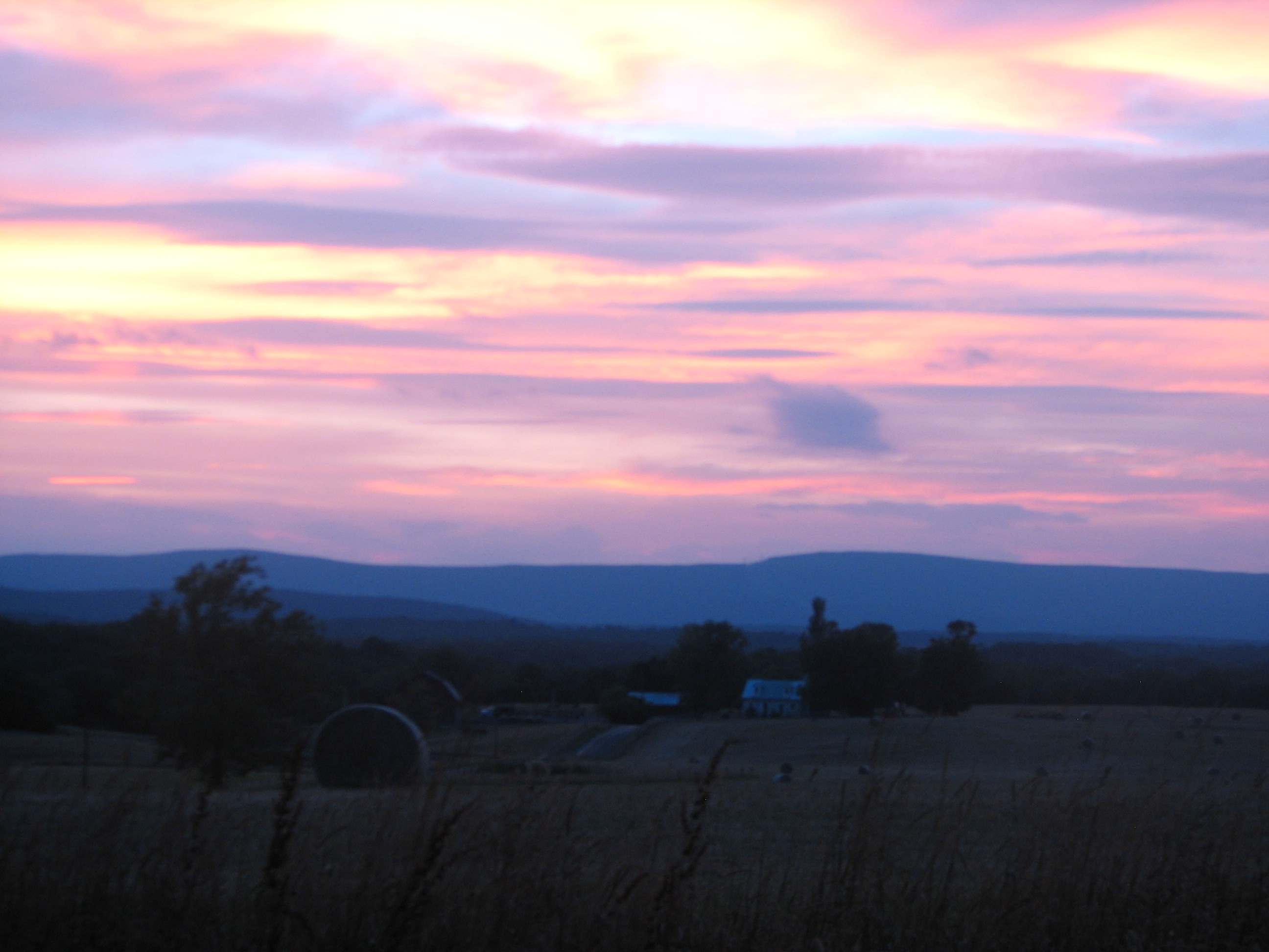 summer 2010 146