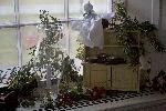 Decorated windowsill