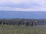 Confederate Artillery