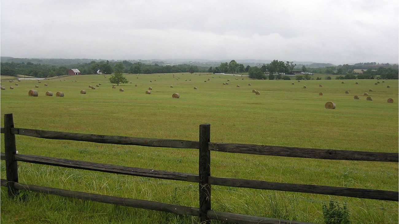 A wood rail fence marks the boundary of a lush green pasture under grey skies.