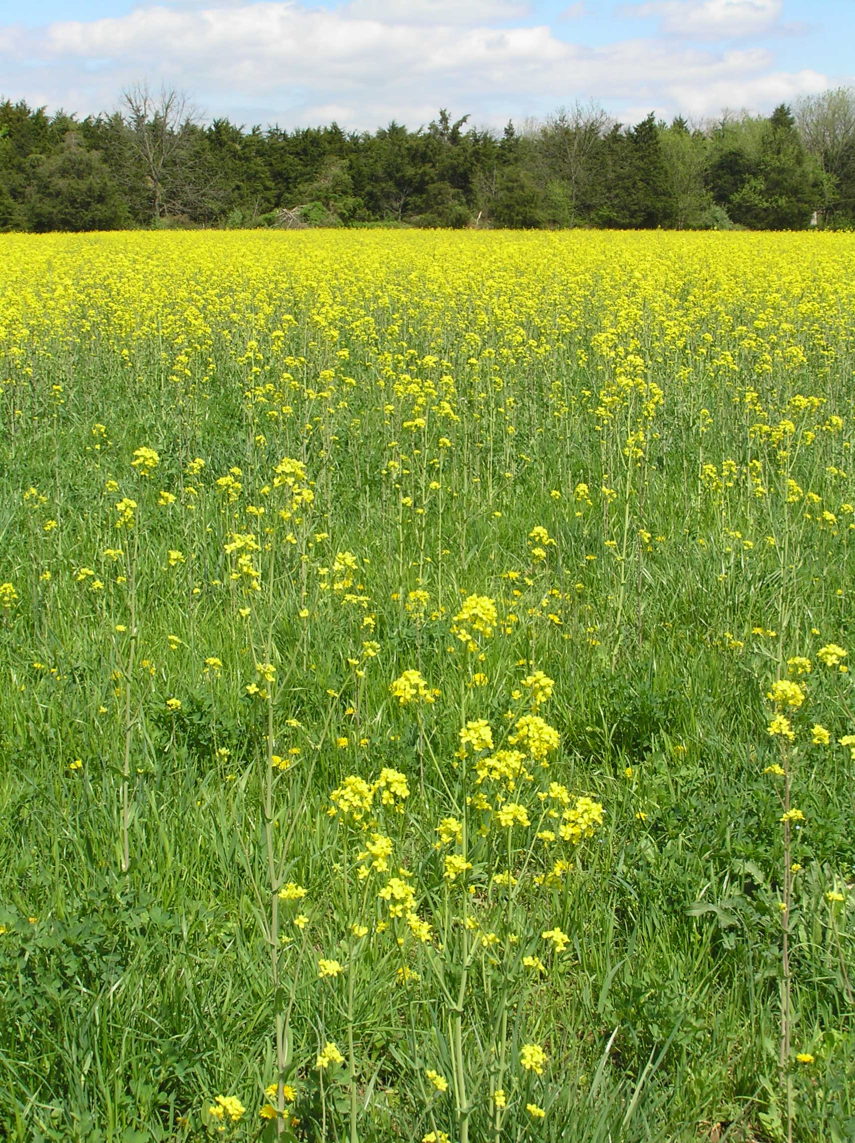 P4090316