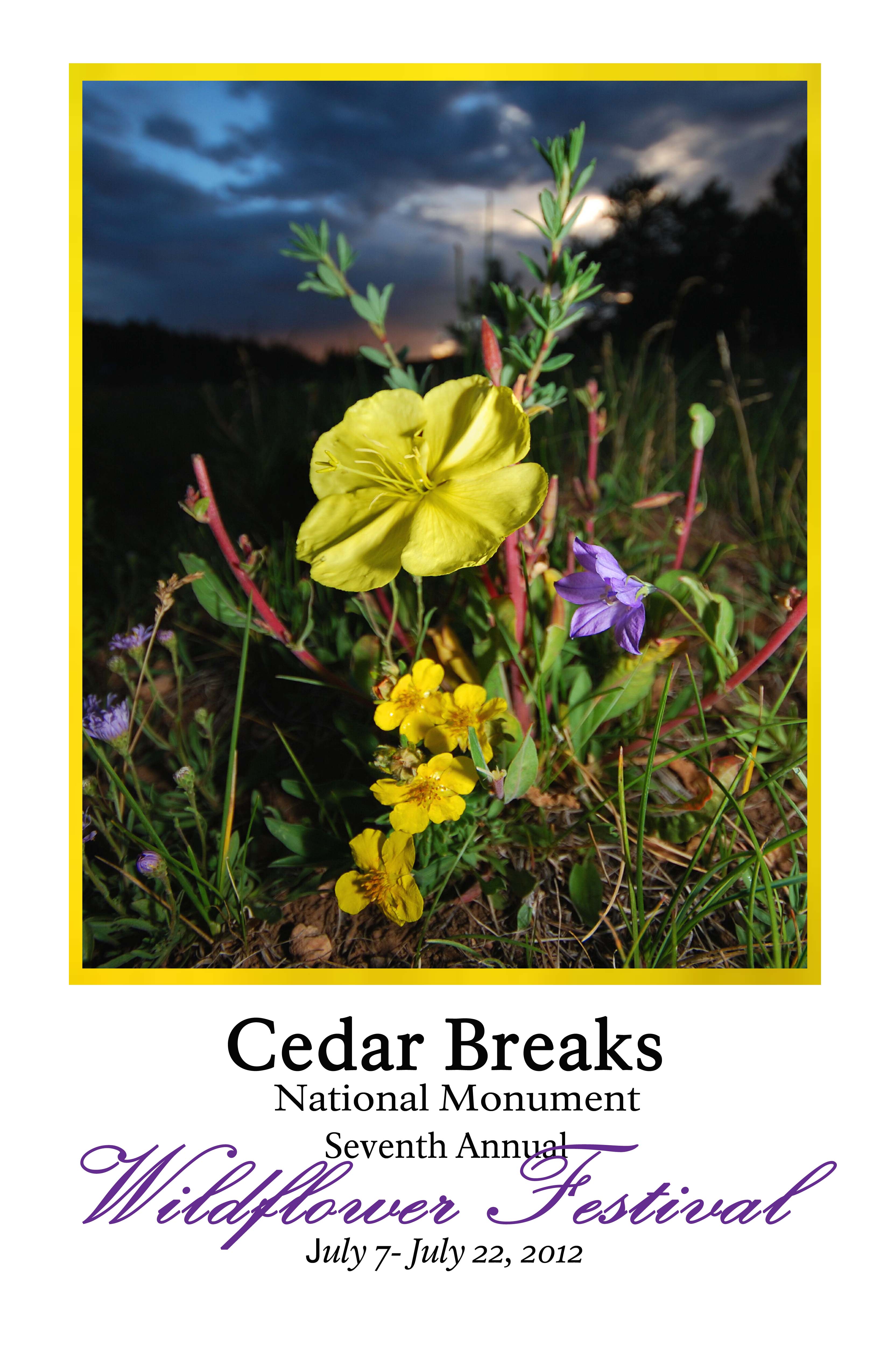 2012 Wildflower Festival poster