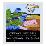Wildflower Festival