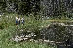 Alpine Pond