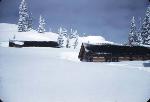 Cedar Breaks Lodge & Cabins--Feb 1949