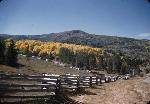 Cedar Mountain Fall Colors 1950