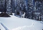 SnowCat on Cedar Breaks Cabin--Feb 1949