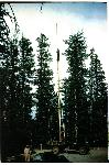 Flag Pole at Visitor Center