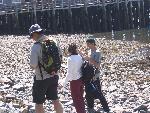 Students on the Beach