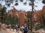 Group at Bryce