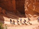 Group