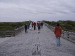 On Boardwalk