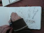 Field Notes