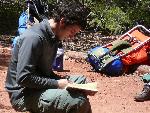 Student Writing