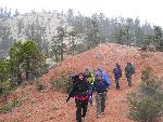 Students Hiking