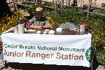 Park Ranger Coffman