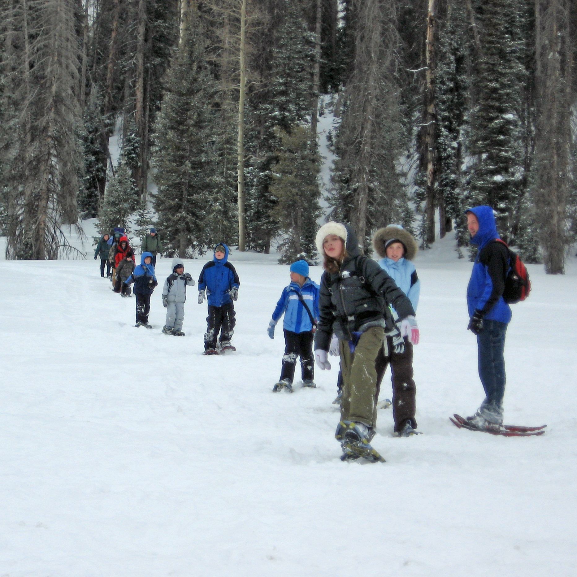 Snowshoers at Cedar Breaks