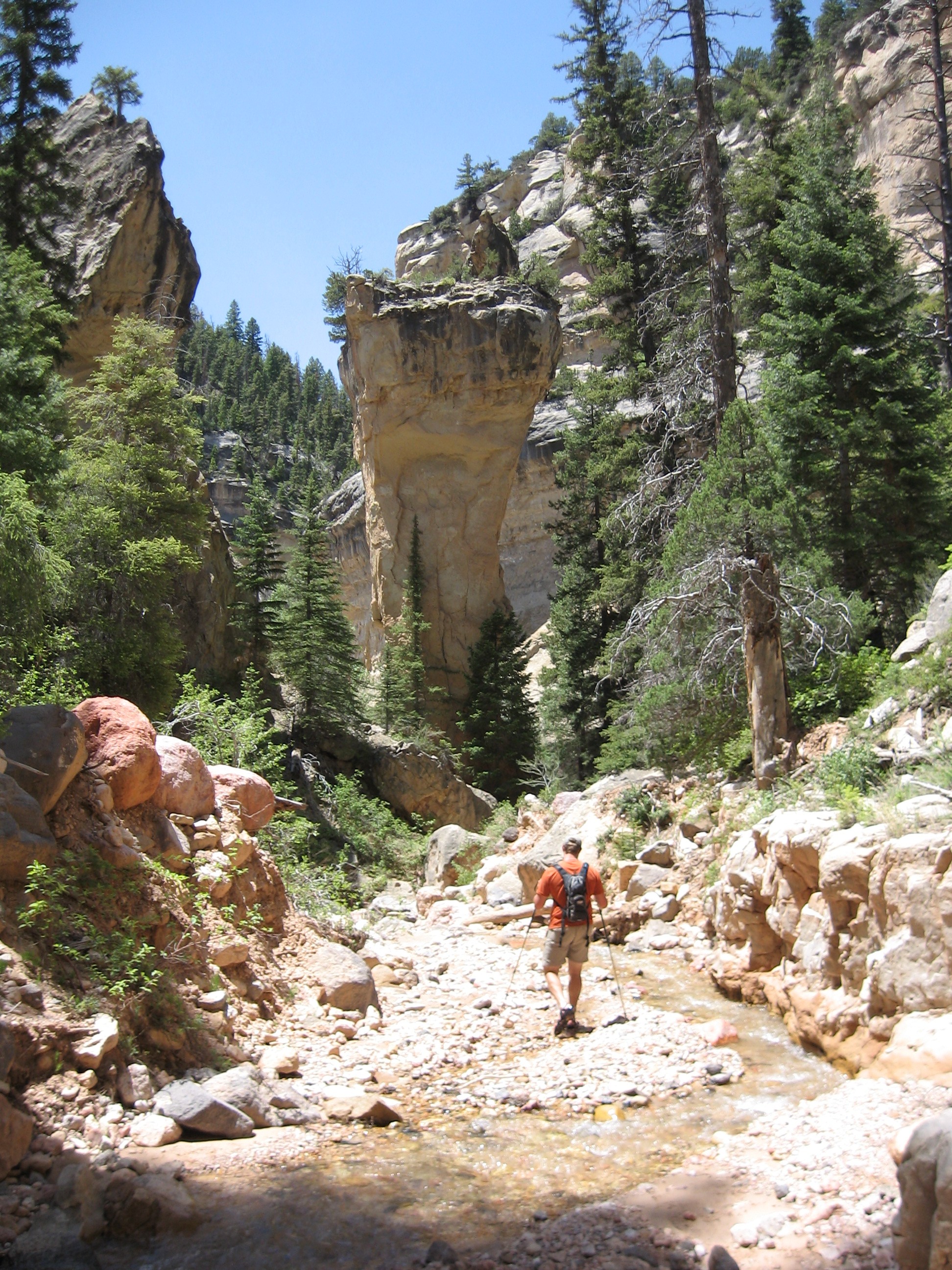 Rattlesnake Creek Trail