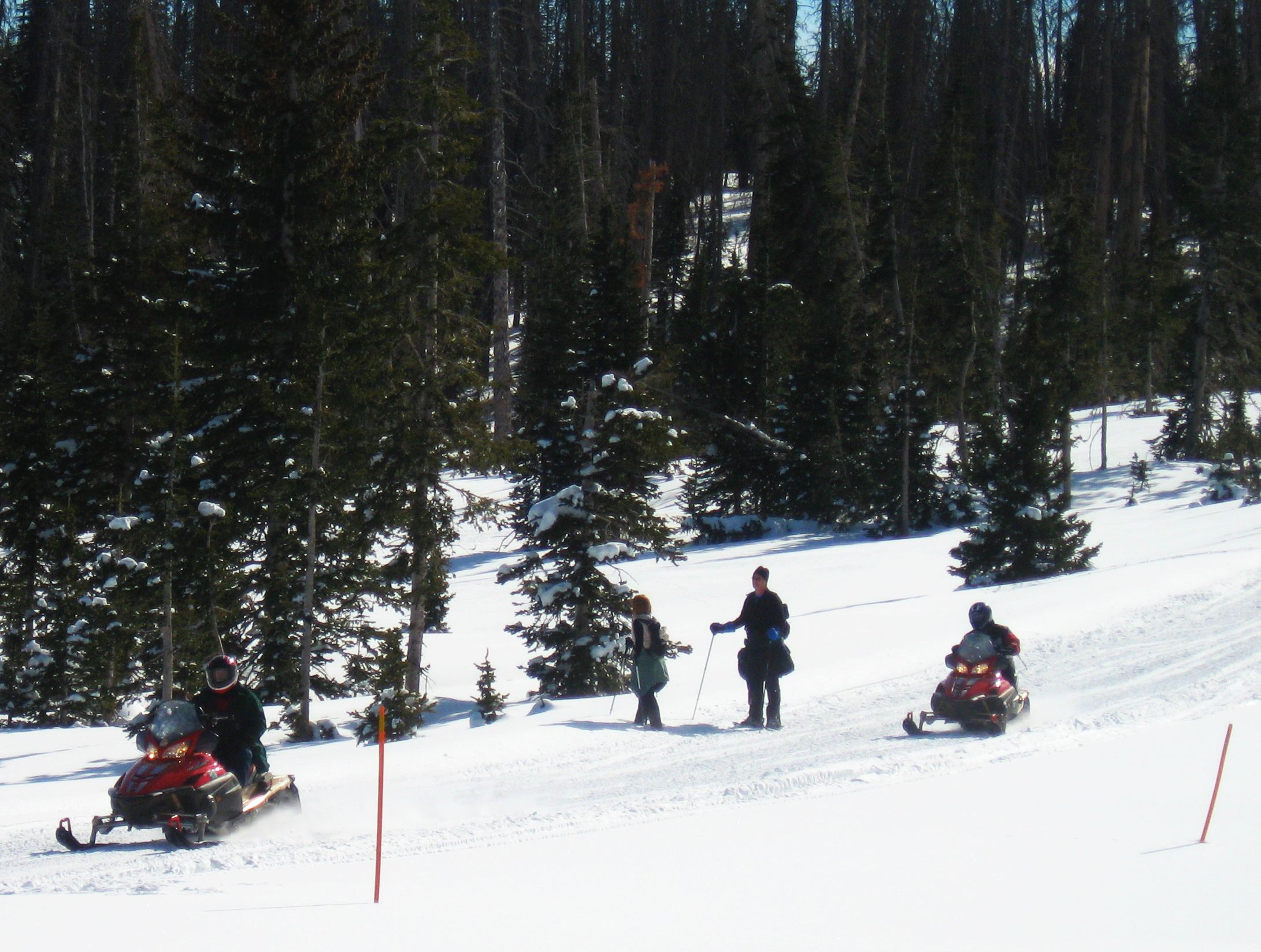 Skiing and snowmobiling at Cedar Breaks 