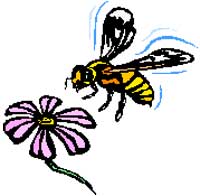 Drawing of bee and flower.