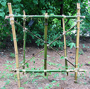 Trellis made from bamboo.