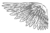 feather