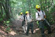 YCC corps members working on a trail.