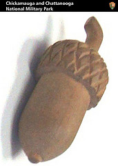 The Acorn