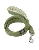 Pets on Leash