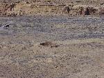 Photo of Case Rinconada in the distanct
