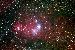 Photo of NGC 2264