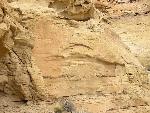Bidirectional tidal flow in Cliffhouse Sandstone
