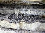 Photo of Lagoon deposit in Menefee