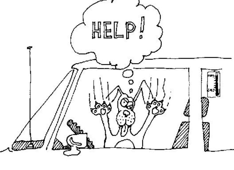 drawing of distressed dog locked in car