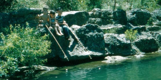 Children fishing in a creek