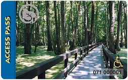 Access Pass depicting a boardwalk through a swampy forest