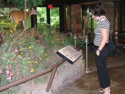 Viewing exhibits in the nature center