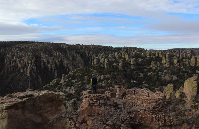 Man standing on rock platform looking into canyon full of standing rocks.
