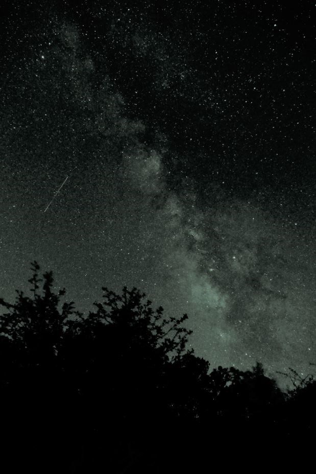 Green-tinted photo of the Milky Way, a meteor, and some trees in silhouette against the sky.