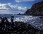 Visitors at Tidepools