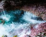 Tidepools