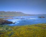 Forneys Cove