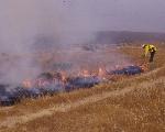 Controlled Burn