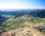 The Nature Conservancy