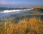 East Point