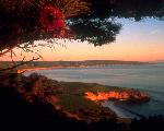 Torrey Pines and Bechers Bay