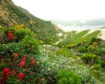 Nidever Canyon