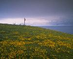 Navigational Light