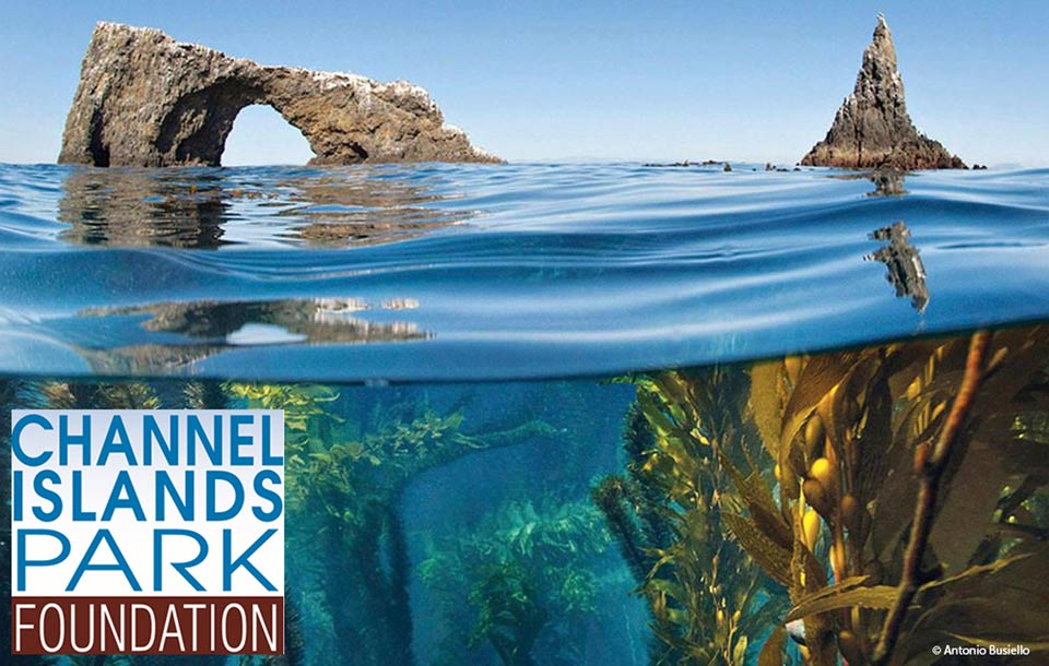 Channel Islands National Park Natural Resources Channel Islands National Park Natural Resources